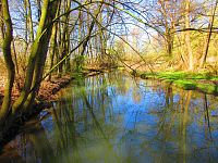 Přírodní památka Trotina (Lochenice)