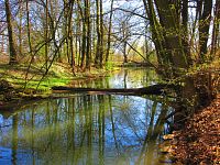 Přírodní památka Trotina (Lochenice)