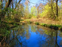 Přírodní památka Trotina (Lochenice)