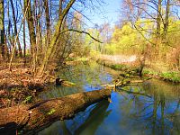 Přírodní památka Trotina (Lochenice)