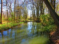 Přírodní památka Trotina (Lochenice)