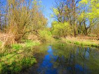 Přírodní památka Trotina (Lochenice)