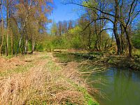 Přírodní památka Trotina (Lochenice)