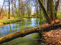 Přírodní památka Trotina (Lochenice)