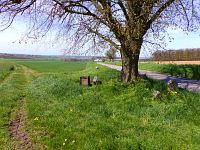 Historický mezník (Máslojedy)