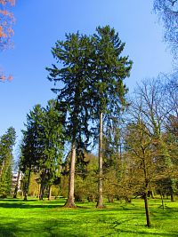 Lázeňský park v Lázních Bohdaneč