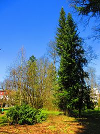 Lázeňský park (Lázně Bohdaneč)