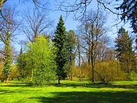 Lázeňský park (Lázně Bohdaneč)