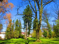 Lázeňský park (Lázně Bohdaneč)