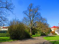 Lázeňský park (Lázně Bohdaneč)