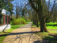 Lázeňský park (Lázně Bohdaneč)