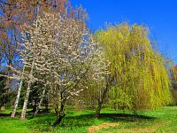 Lázeňský park (Lázně Bohdaneč)