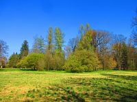 Lázeňský park (Lázně Bohdaneč)