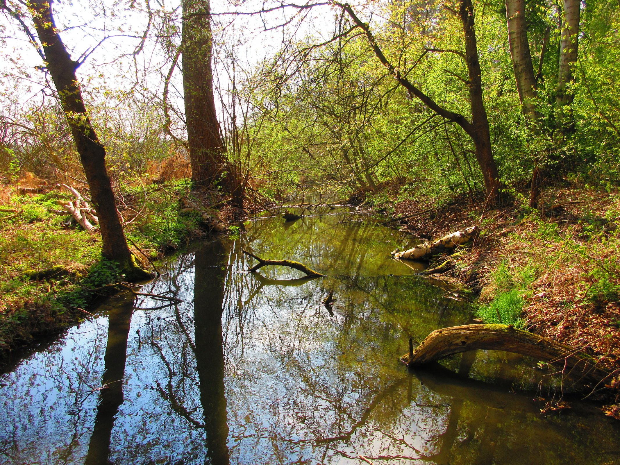 Rajská strouha u Borku