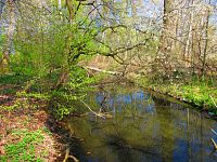 Rajská strouha (Libišany)