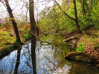 Rajská strouha u Borku