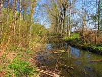 Rajská strouha (Libišany)