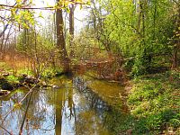 Rajská strouha (Libišany)