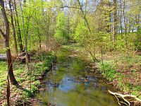 Rajská strouha (Libišany)