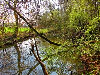 Rajská strouha (Libišany)