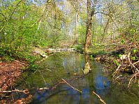 Rajská strouha (Libišany)