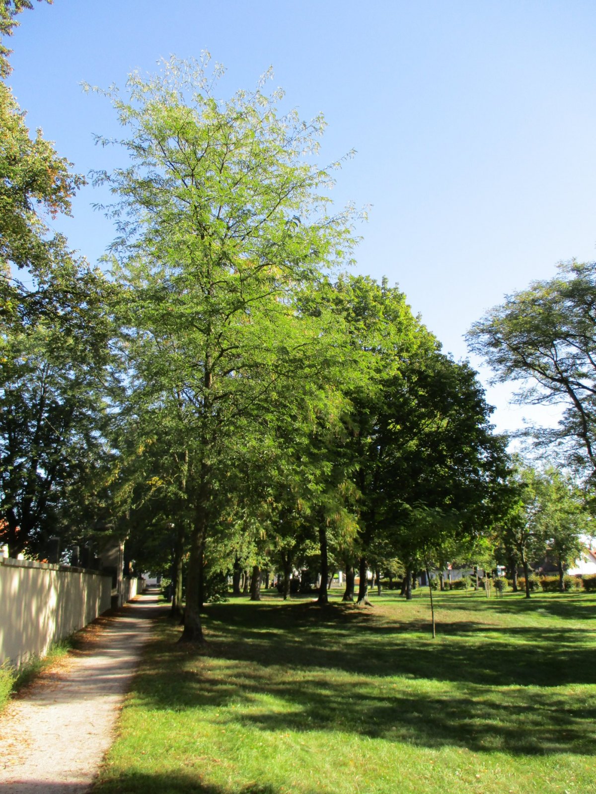 Krátká připomínka Okrašlovacího spolku na Pouchově