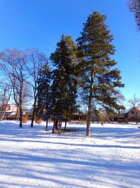 Park před pouchovským hřbitovem (Hradec Králové)