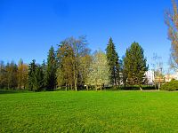 Šimkovy sady (Hradec Králové)