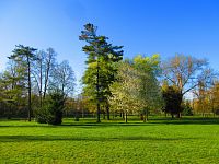 Šimkovy sady (Hradec Králové)