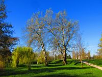 Šimkovy sady (Hradec Králové)