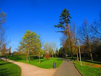 Šimkovy sady (Hradec Králové)