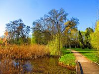 Šimkovy sady (Hradec Králové)