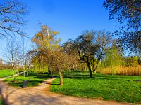 Šimkovy sady (Hradec Králové)