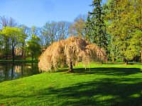 Šimkovy sady (Hradec Králové)