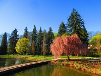 Šimkovy sady (Hradec Králové)