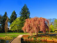 Šimkovy sady (Hradec Králové)