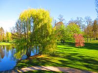 Šimkovy sady (Hradec Králové)