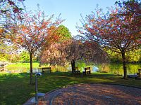 Šimkovy sady (Hradec Králové)