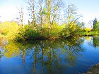 Šimkovy sady (Hradec Králové)