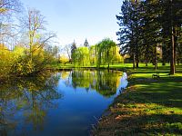 Šimkovy sady (Hradec Králové)