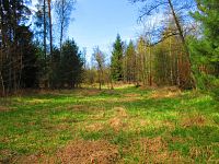 Haltýře (Na Haltýři, Hradec Králové)