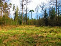 Haltýře (Na Haltýři, Hradec Králové)