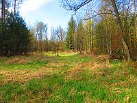 Haltýře (Na Haltýři, Hradec Králové)