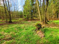 Haltýře (Na Haltýři, Hradec Králové)