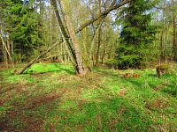 Haltýře (Na Haltýři, Hradec Králové)