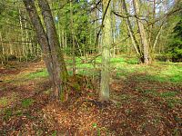 Haltýře (Na Haltýři, Hradec Králové)