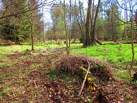 Haltýře (Na Haltýři, Hradec Králové)