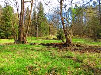 Haltýře (Na Haltýři, Hradec Králové)