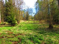 Haltýře (Na Haltýři, Hradec Králové)