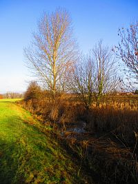 Piletický potok před Pouchovem (Hradec Králové)